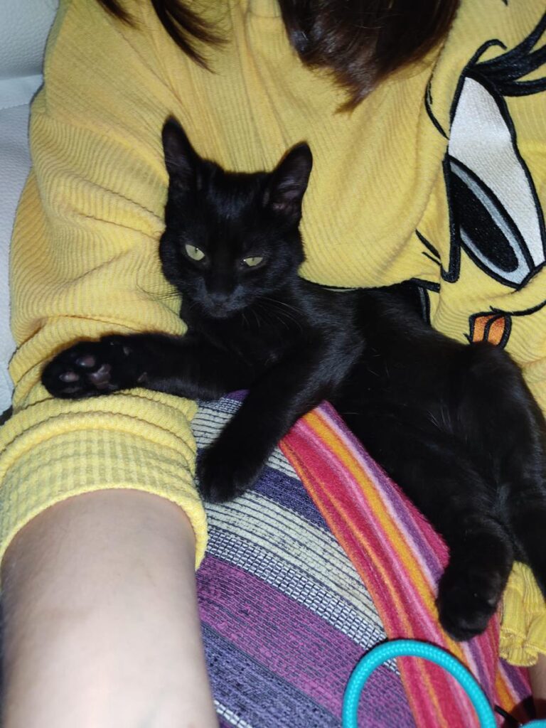 multimedia-foto75903-346-1