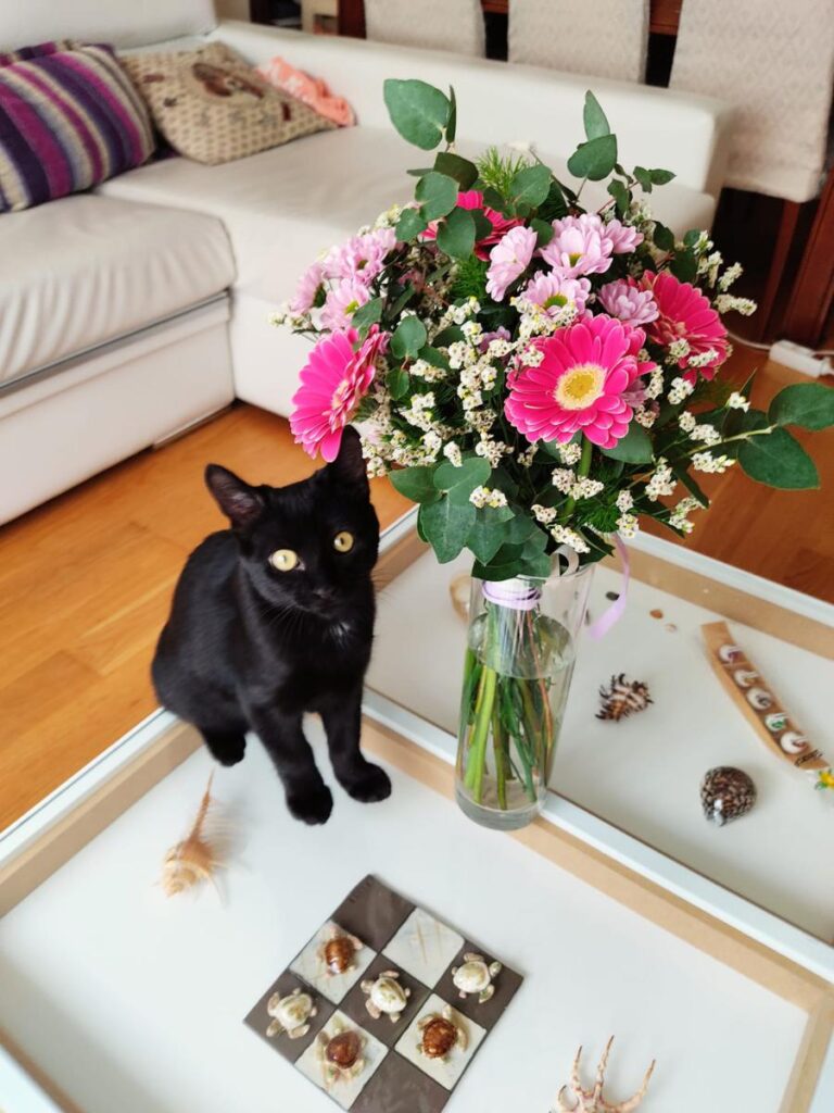 multimedia-foto75905-347-1