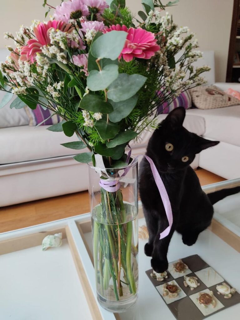 multimedia-foto75906-347-1