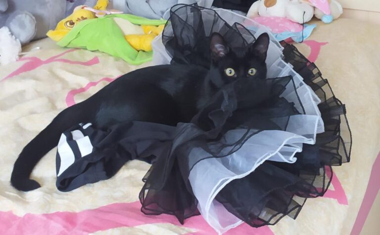 multimedia-foto75908-347-1