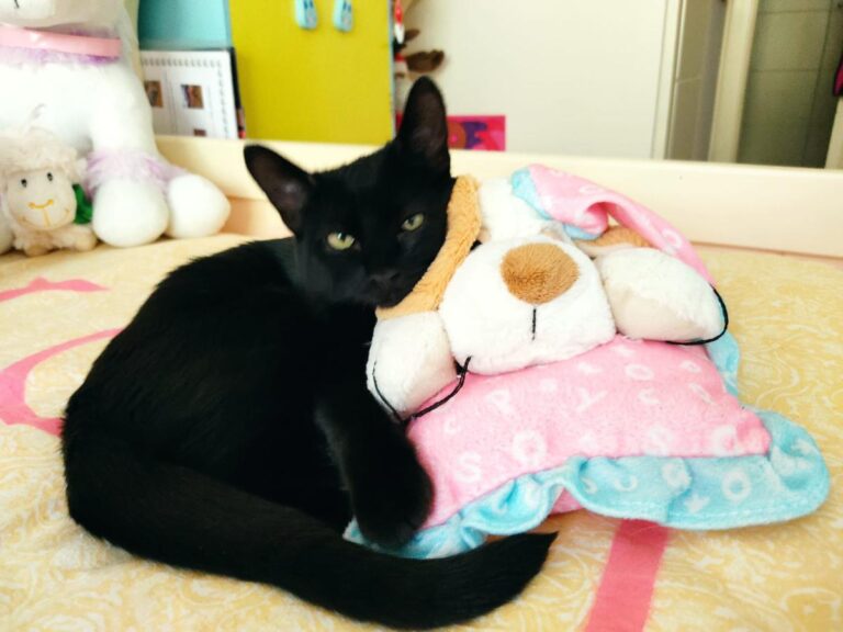 multimedia-foto75909-348-1