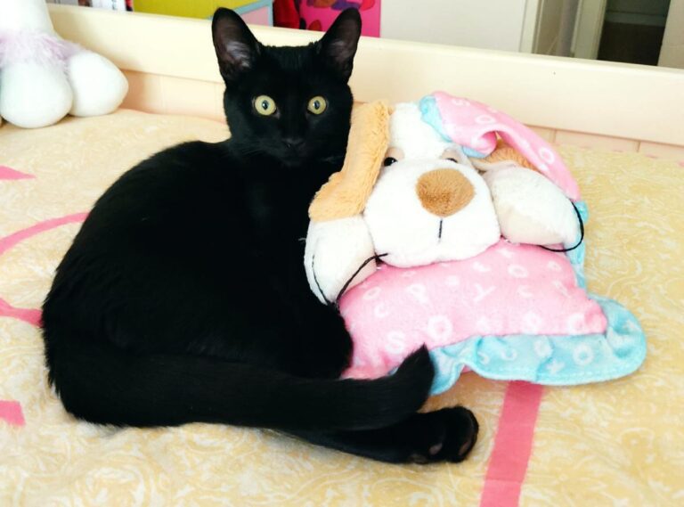 multimedia-foto75910-348-1