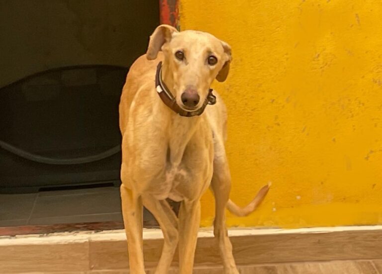 multimedia-foto75922-657-1