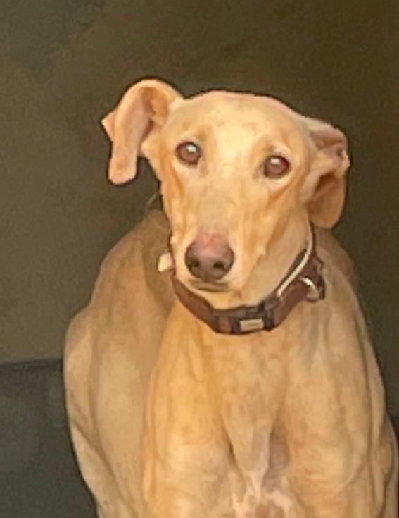 multimedia-foto75924-657-1