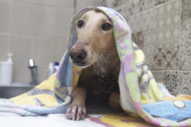 multimedia-foto75926-658-1