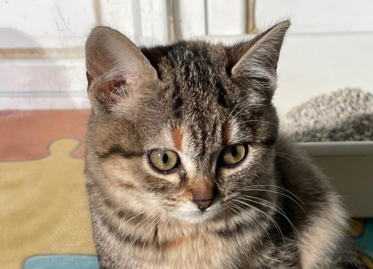 multimedia-foto75995-881-1