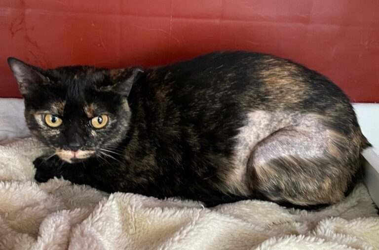 multimedia-foto75997-194-1