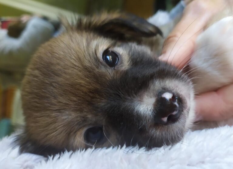 multimedia-foto76000-924-1