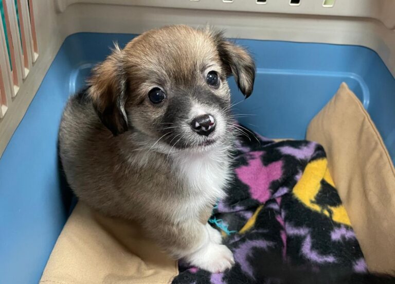 multimedia-foto76001-924-1