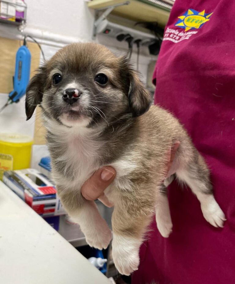 multimedia-foto76002-924-1