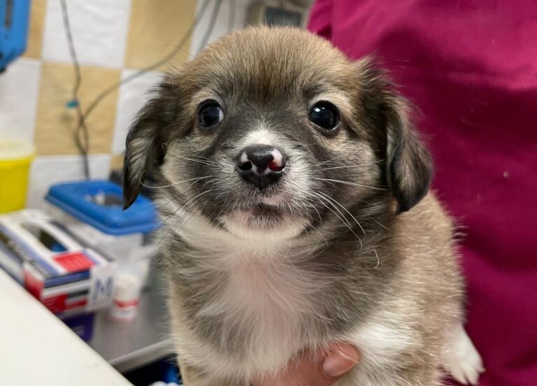 multimedia-foto76003-924-1