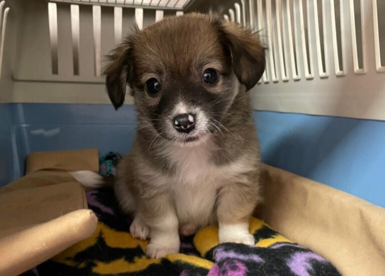 multimedia-foto76004-924-1