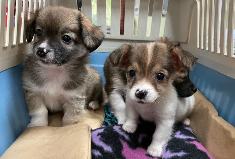 multimedia-foto76006-925-1