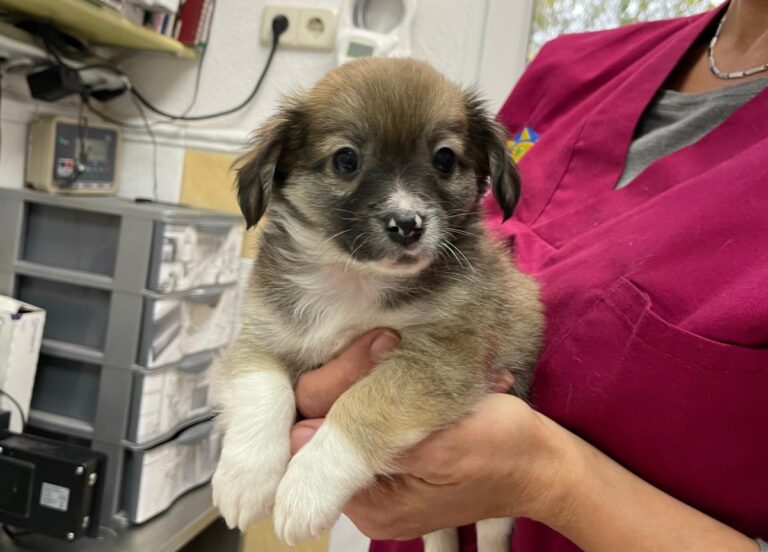 multimedia-foto76007-925-1