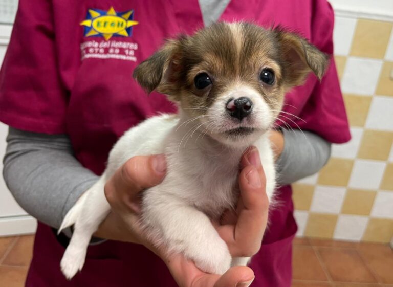 multimedia-foto76018-83-1