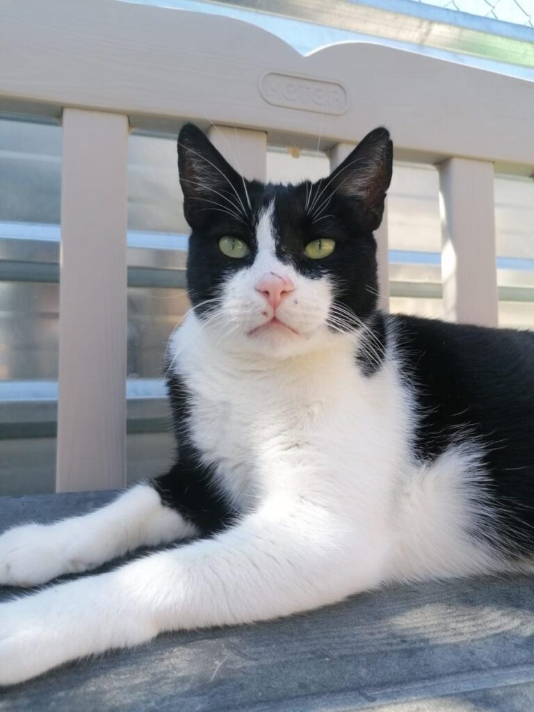 multimedia-foto76029-835-1