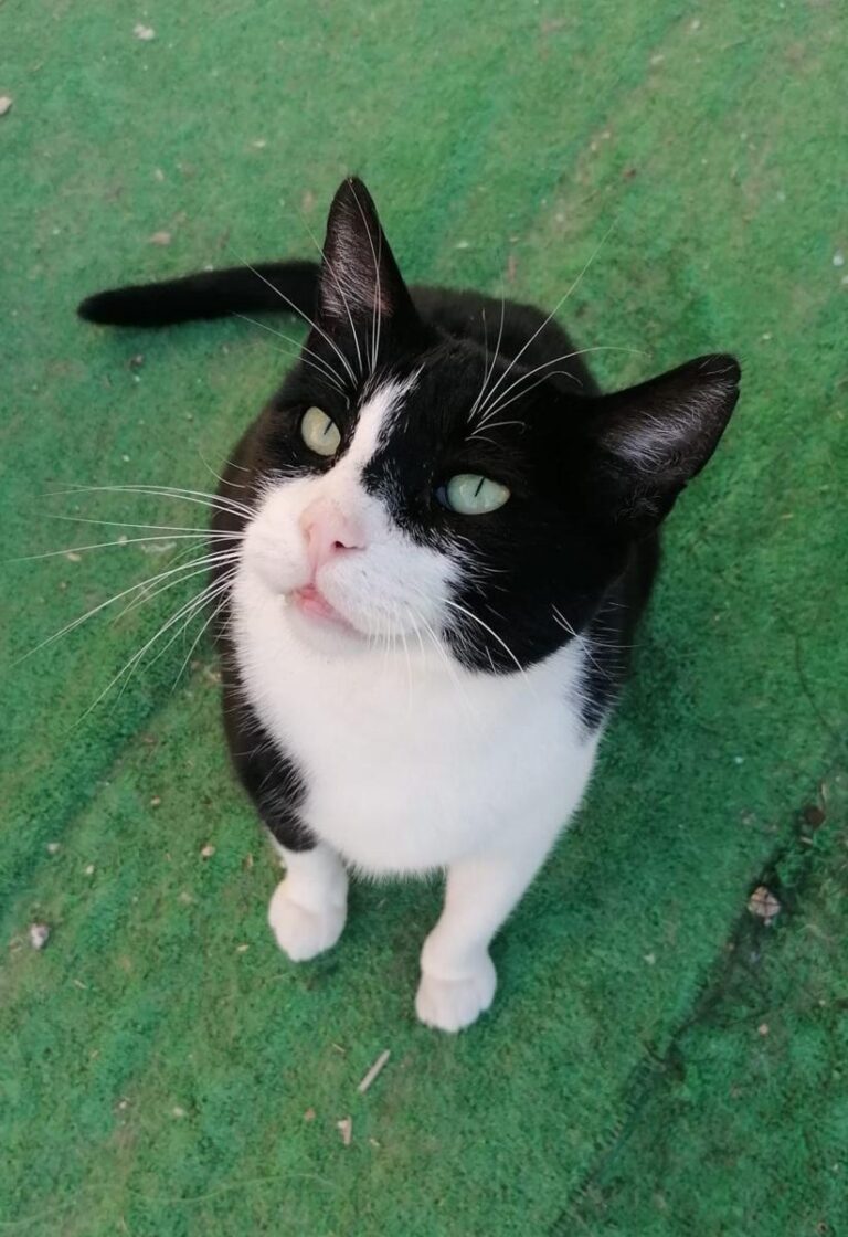 multimedia-foto76030-835-1