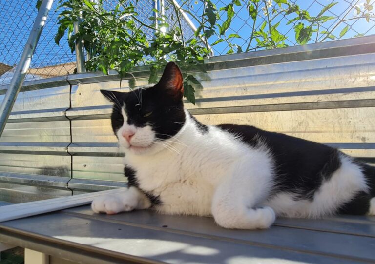 multimedia-foto76031-836-1