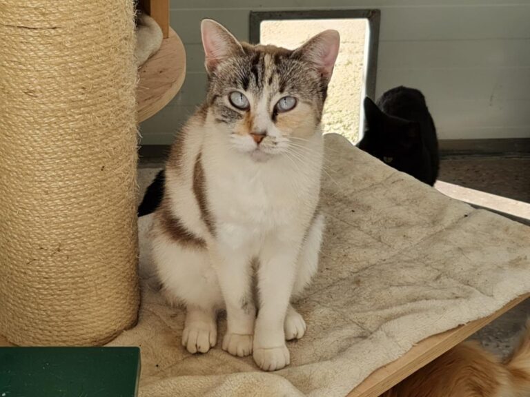 multimedia-foto76049-578-1