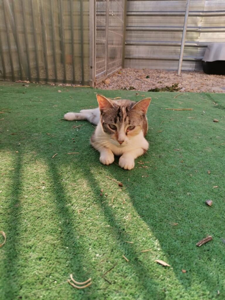 multimedia-foto76050-578-1