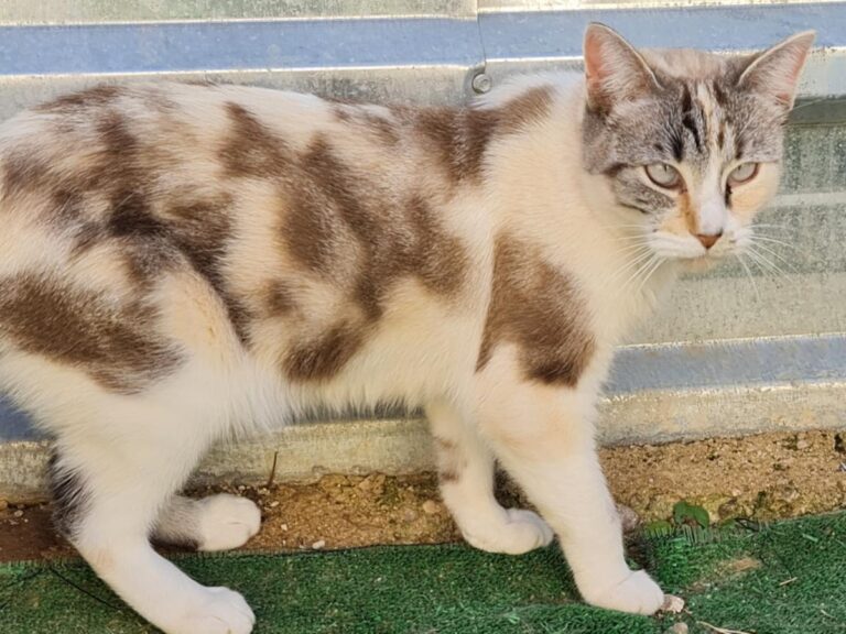 multimedia-foto76053-578-1