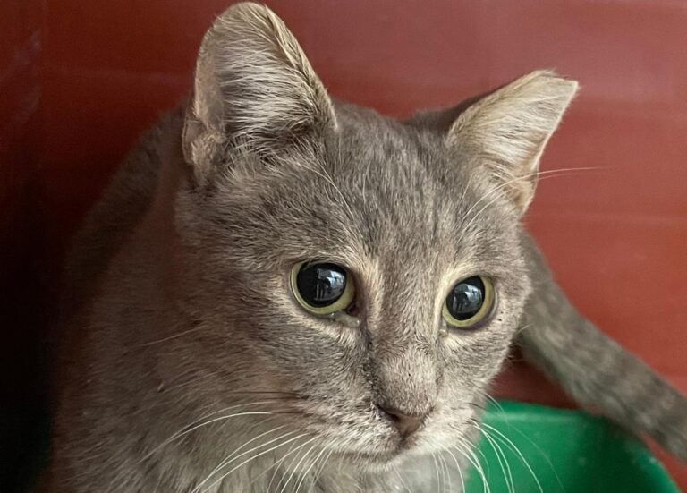 multimedia-foto76058-274-1