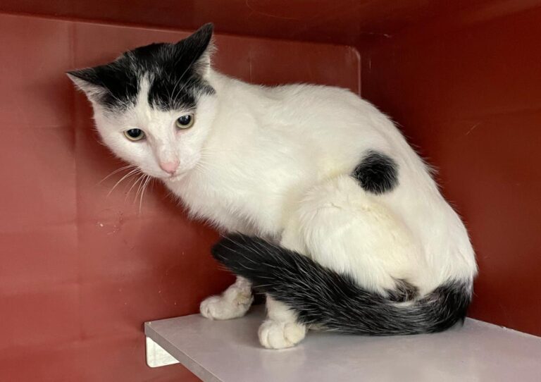 multimedia-foto76062-999-1