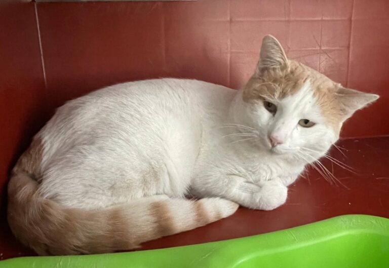 multimedia-foto76083-637-1