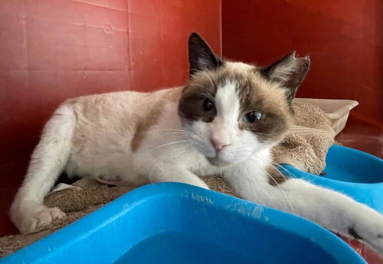 multimedia-foto76095-27-1