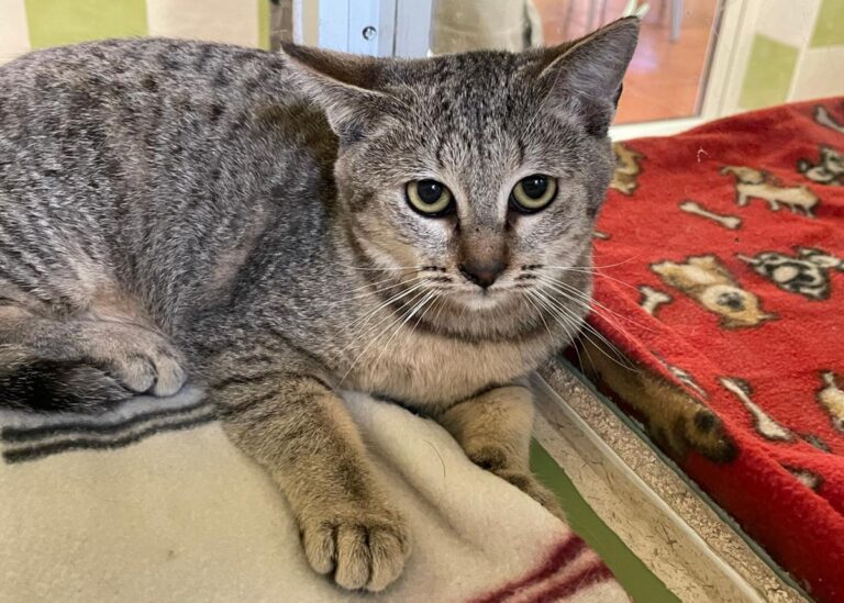 multimedia-foto76097-223-1