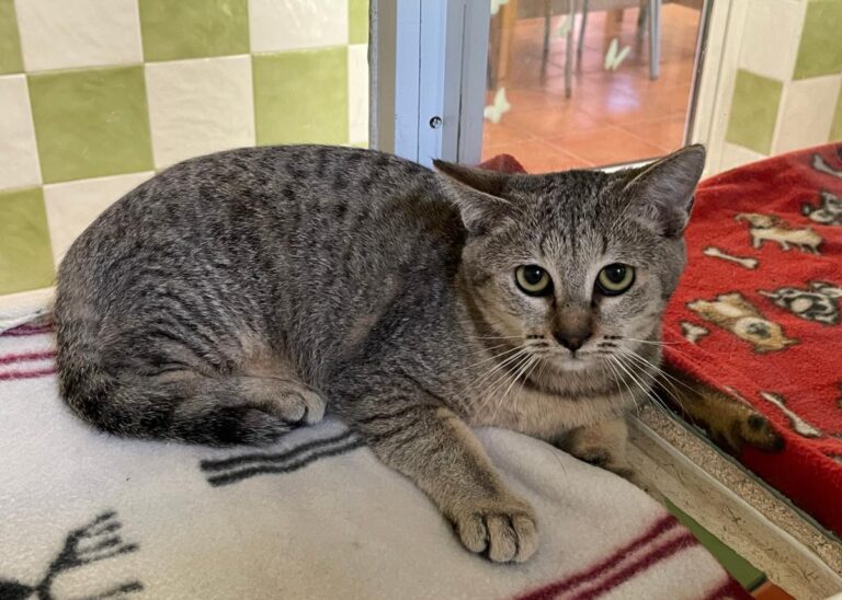 multimedia-foto76098-223-1