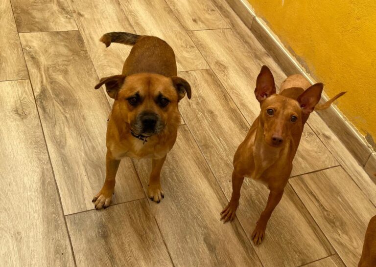 multimedia-foto76111-689-1