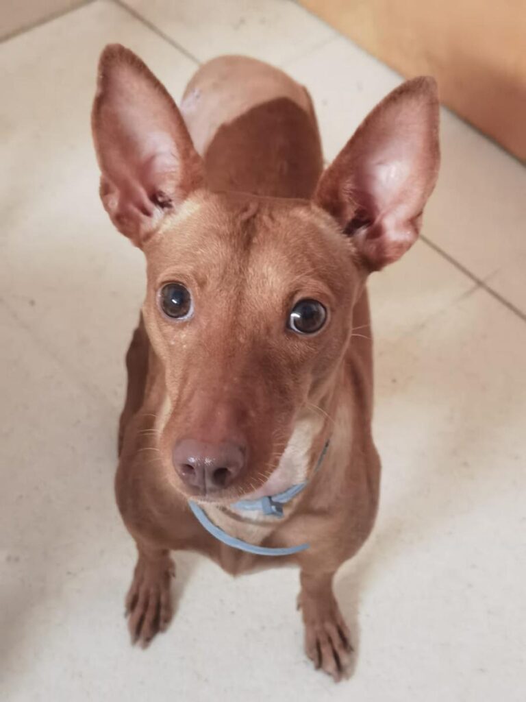 multimedia-foto76113-690-1