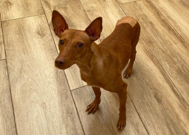 multimedia-foto76114-690-1