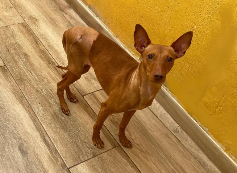 multimedia-foto76115-690-1