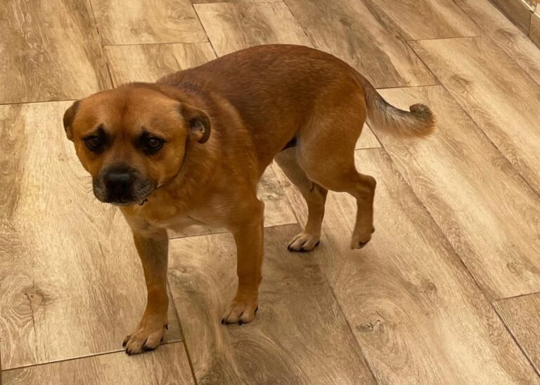 multimedia-foto76126-356-1