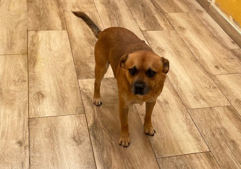 multimedia-foto76127-356-1