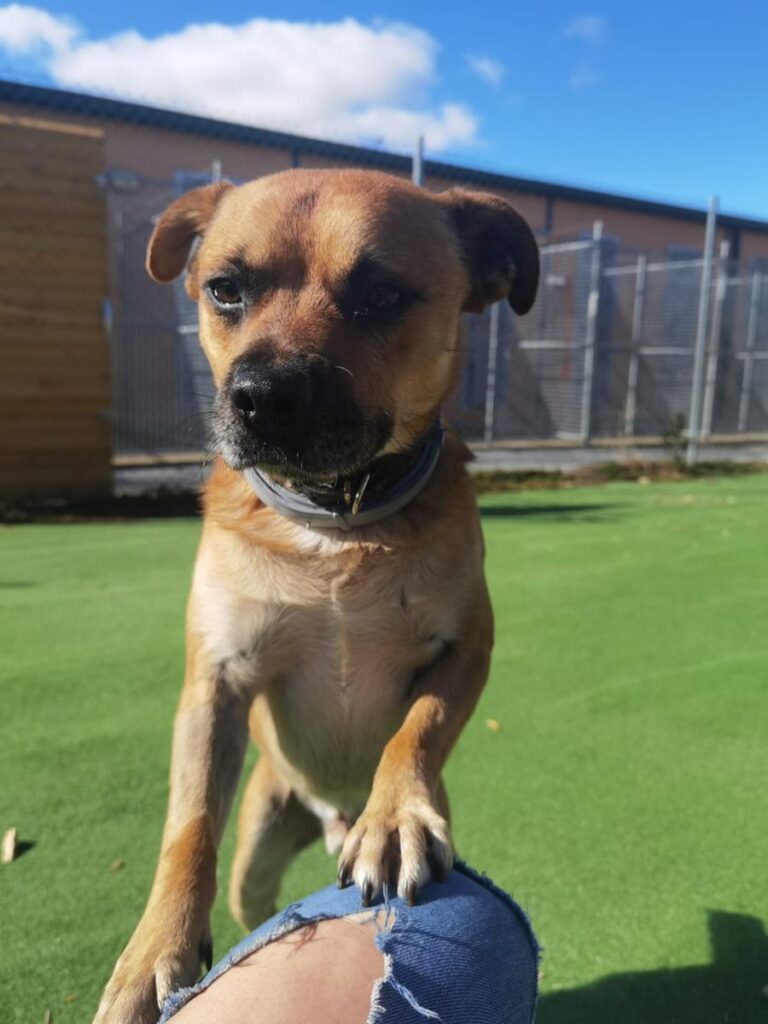 multimedia-foto76129-357-1