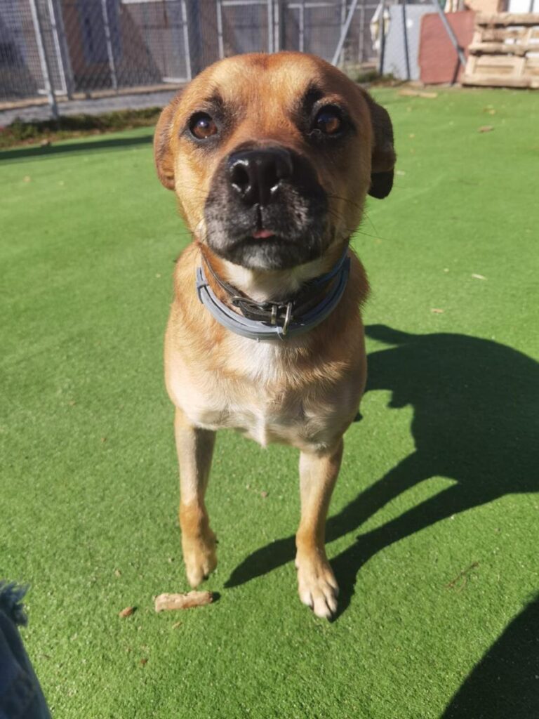 multimedia-foto76130-357-1