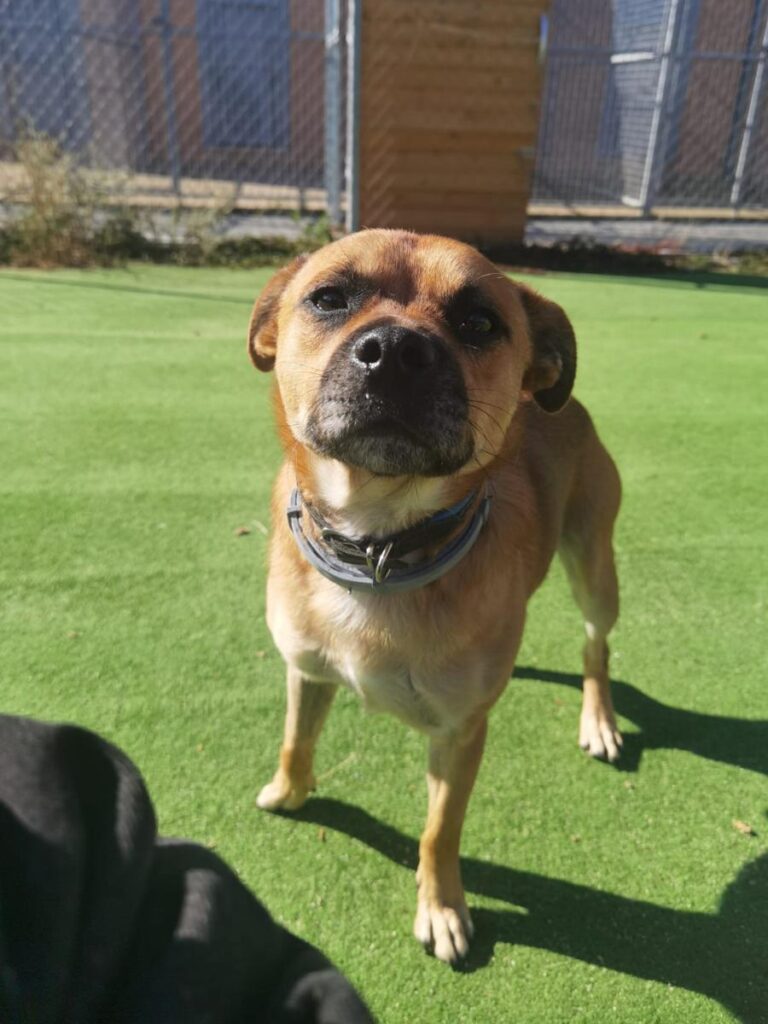 multimedia-foto76131-357-1