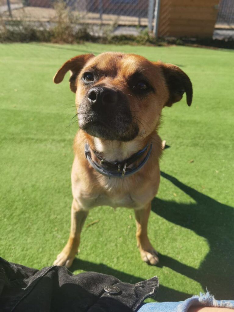 multimedia-foto76132-357-1