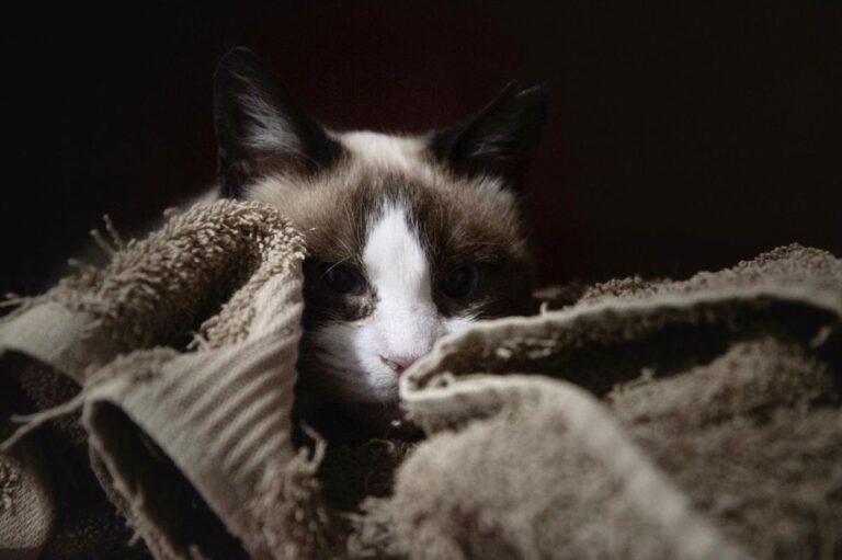 multimedia-foto76138-120-1