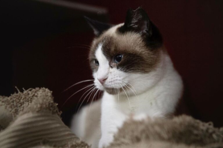 multimedia-foto76139-120-1