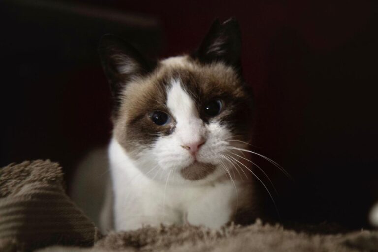 multimedia-foto76140-120-1