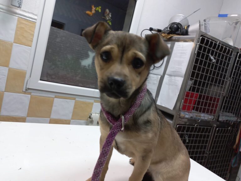 multimedia-foto76218-224-1