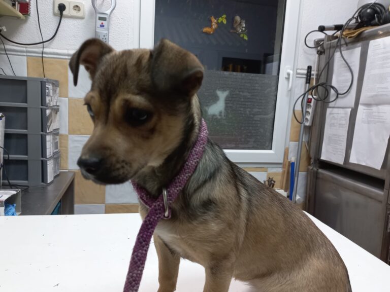 multimedia-foto76219-224-1