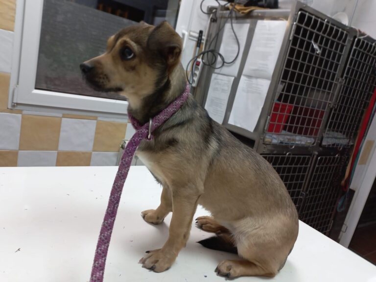 multimedia-foto76220-224-1