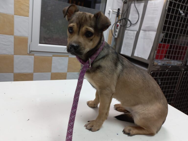 multimedia-foto76221-225-1