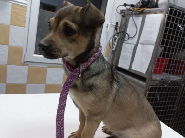 multimedia-foto76222-225-1