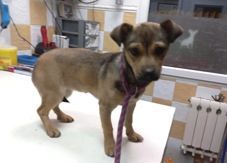 multimedia-foto76223-225-1